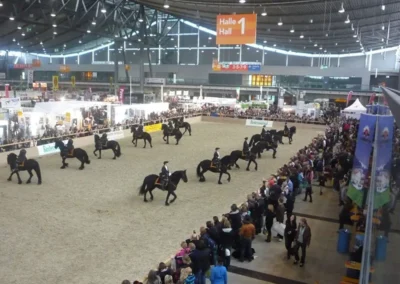 Mobiler Reitboden - terra-tex - Abt Reitplatzbau AG